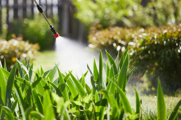 24/7 Emergency Wasp Removal experts in Baird, TX